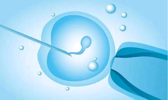 温州最大的代怀 温州市人民医院试管婴儿费用明细 ‘怀孕19周b超单子怎么看男