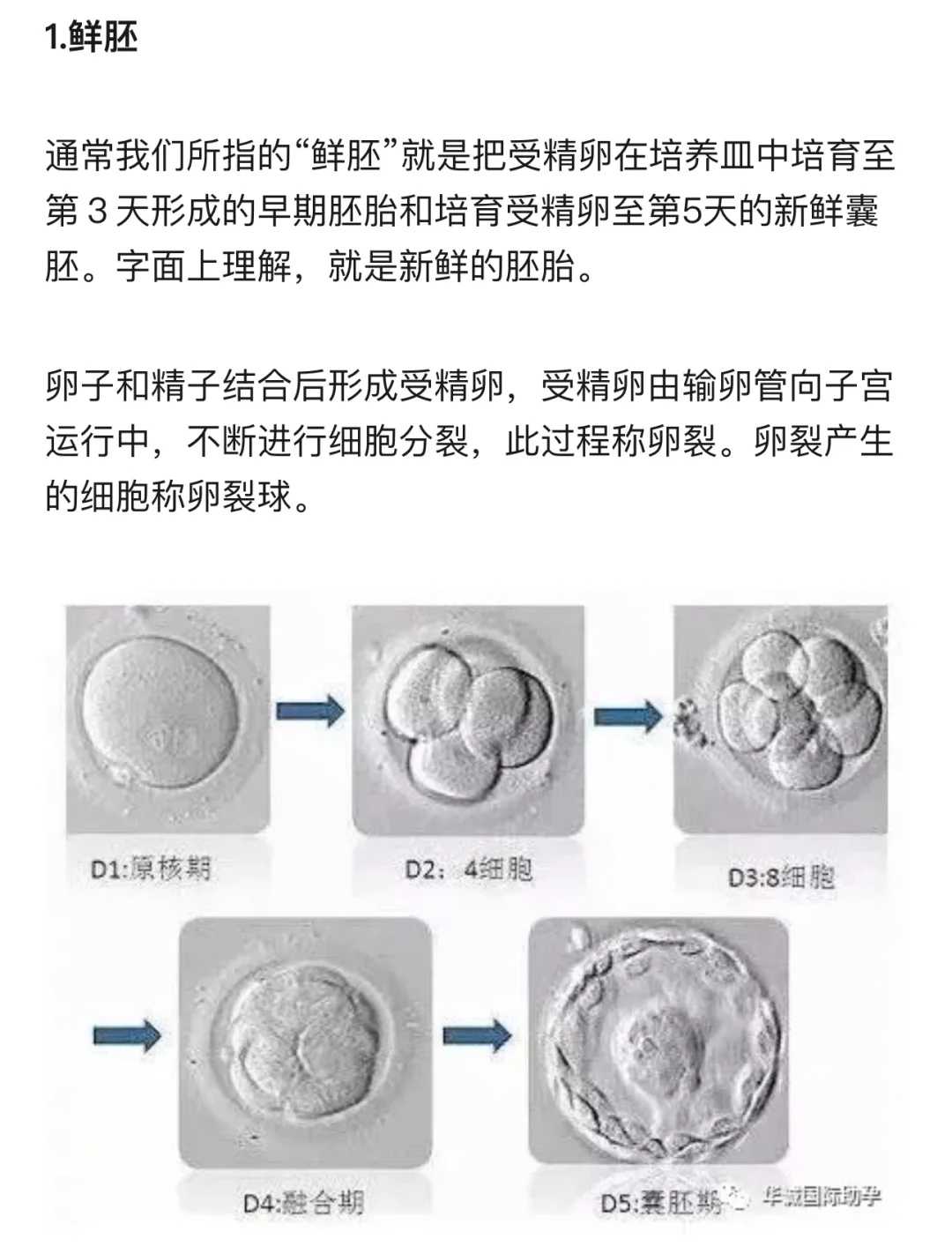 天津三代试管代孕成功高吗,试管婴儿费用多？移植后做法正确才没白花钱-上海