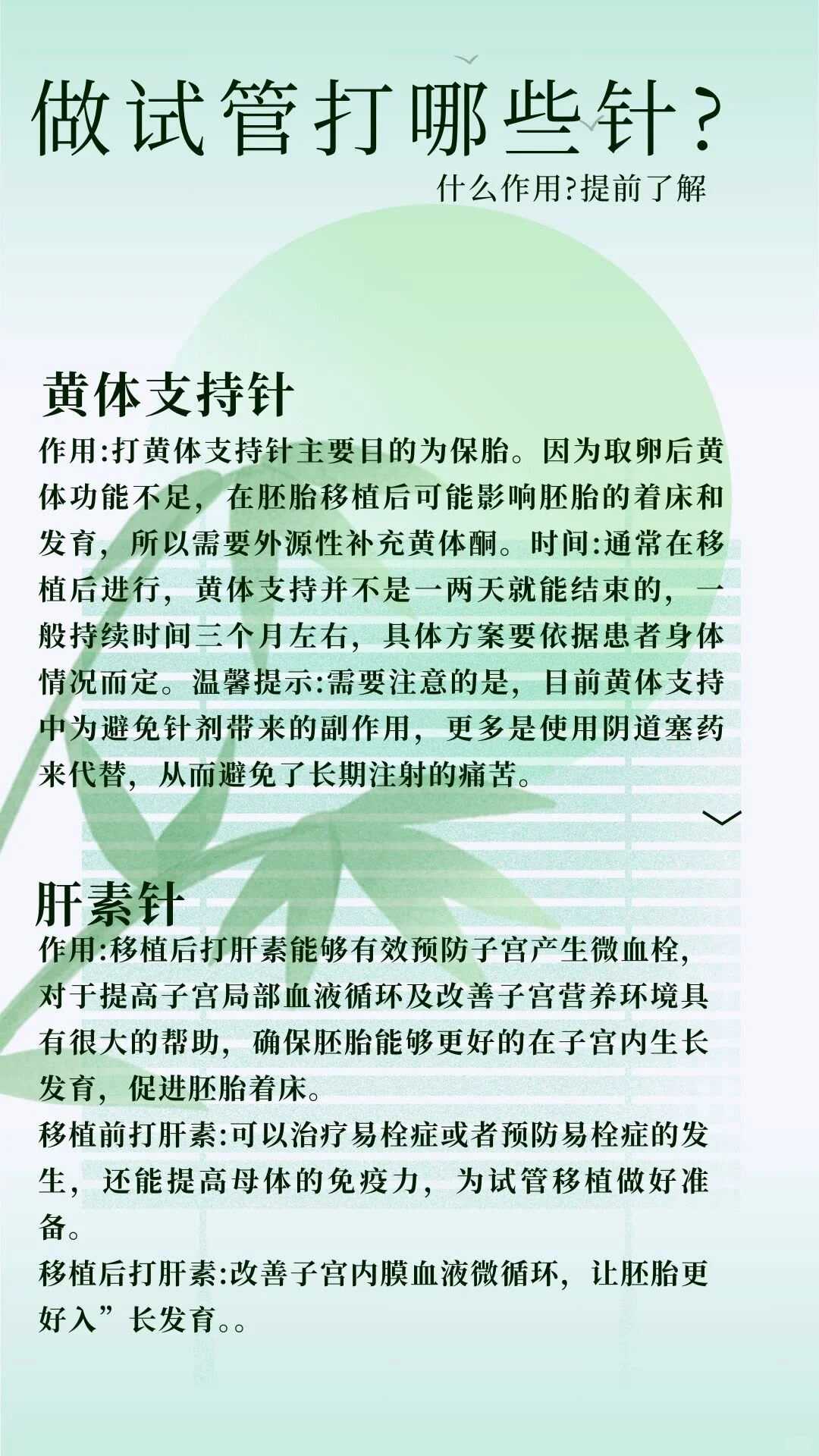 羊膜带是怎么形成的