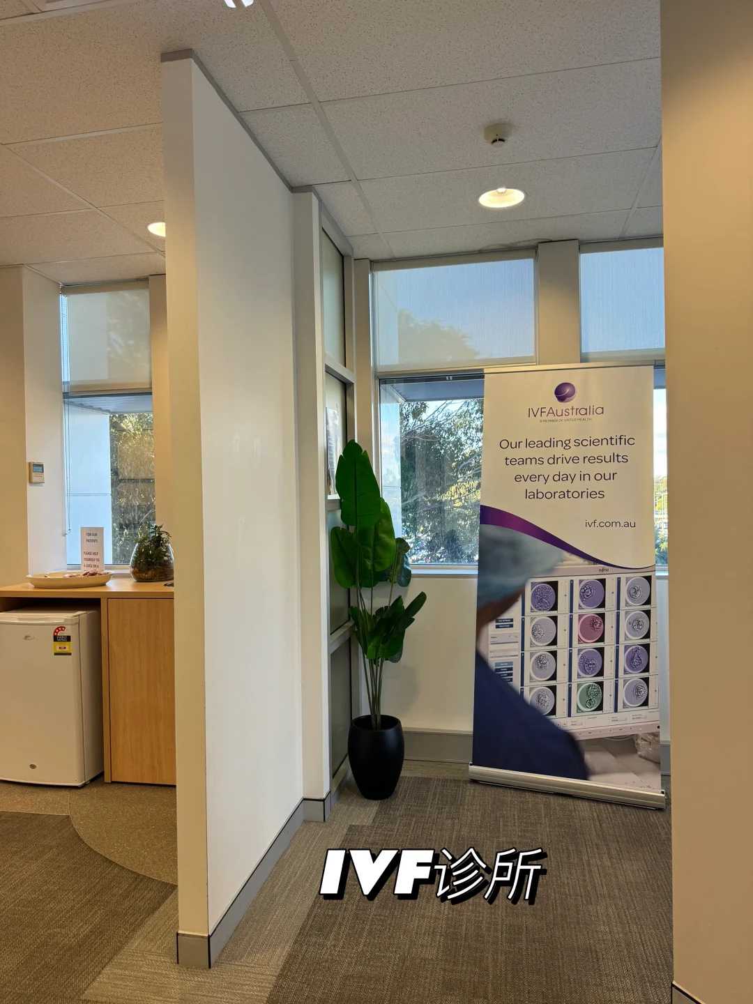 天津代孕哪里做好,天津艾滋病可以做试管婴儿吗_正规助孕中介