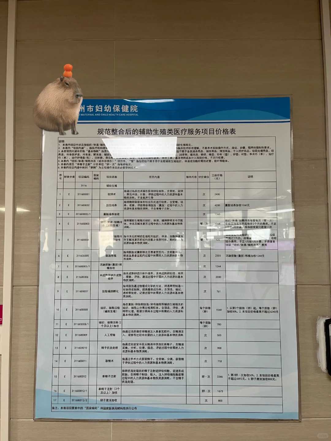 天津代怀网成功率怎样,泰国试管婴儿服务电话-上海有没有供卵机构_有头臀径的