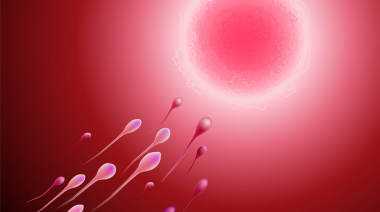  杭州捐卵网_大连捐卵流程是怎样的_9O60E_排卵期雌二醇1500pg/ml对应几个成熟卵泡